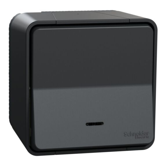 Interrupteur lumineux saillie Mureva Styl anthracite - SCHNEIDER ELECTRIC