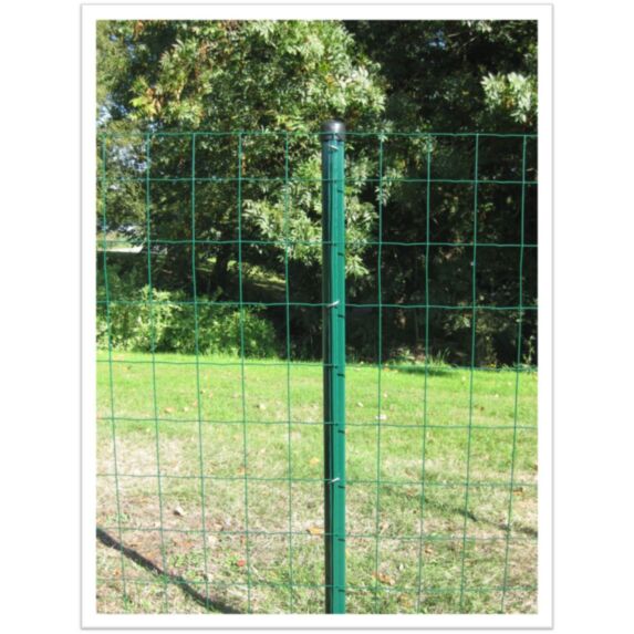 Grillage en Rouleau Soudé Vert Axial H1,5x20m - DIRICKX