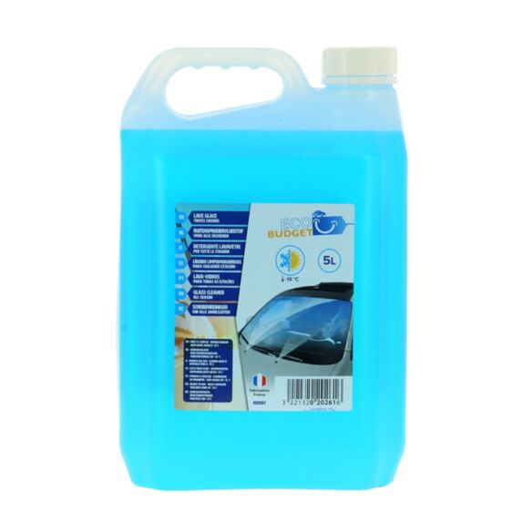 Lave glace toute saison 5 l