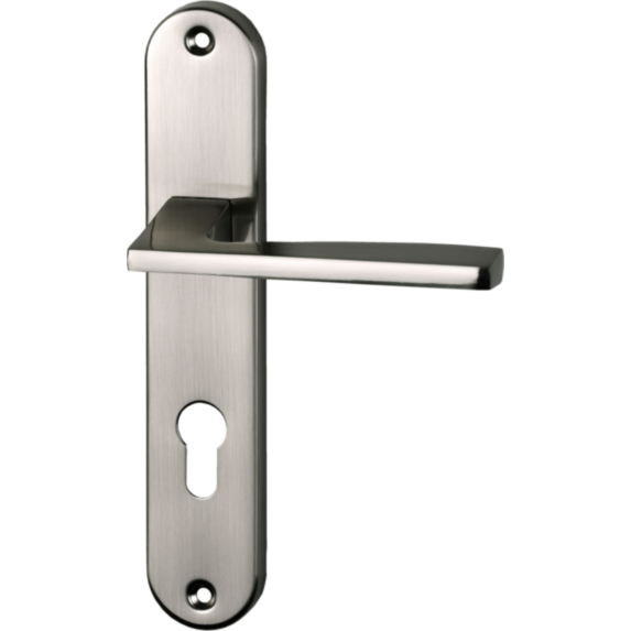 Poignée de porte extérieure Val entraxe 195 cylindre nickel alu  - INVENTIV