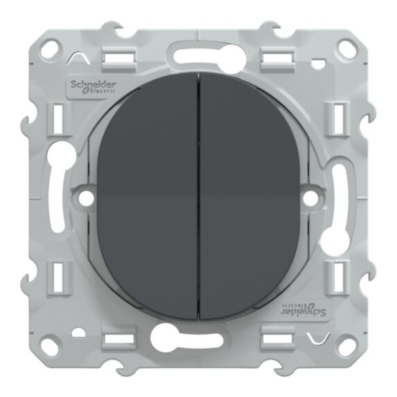 Double interrupteur à assembler Ovalis anthracite - SCHNEIDER ELECTRIC