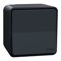 Interrupteur va-et-vient saillie Mureva Styl anthracite - SCHNEIDER ELECTRIC