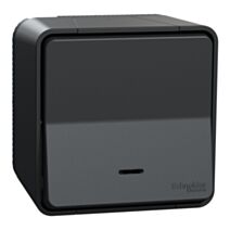 Interrupteur lumineux saillie Mureva Styl anthracite - SCHNEIDER ELECTRIC