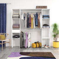 Dressing Combi