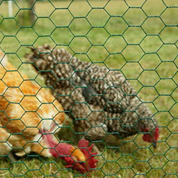 Grillages pour animaux